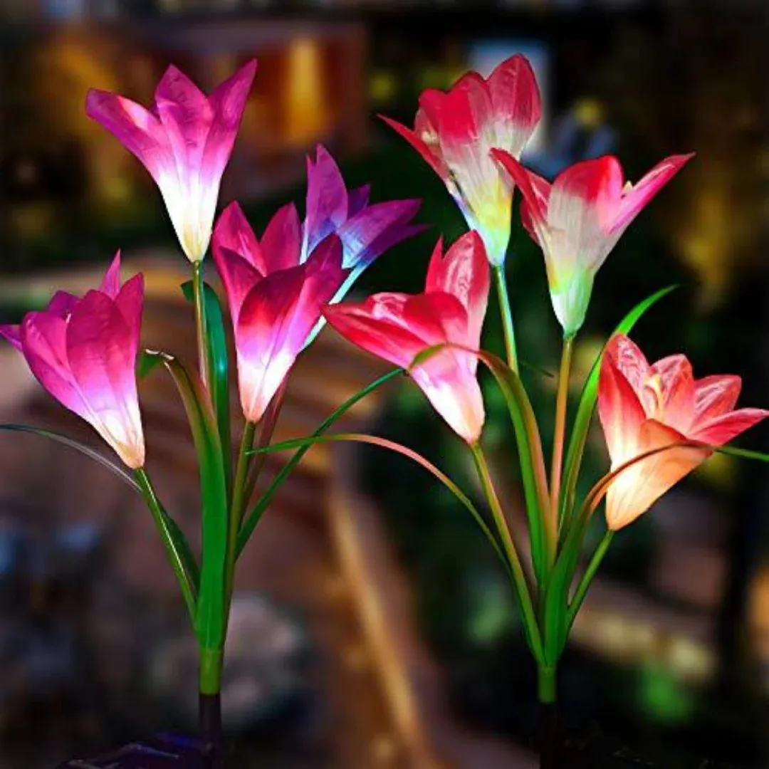 Eco-Friendly Enchanted Solar Lilies