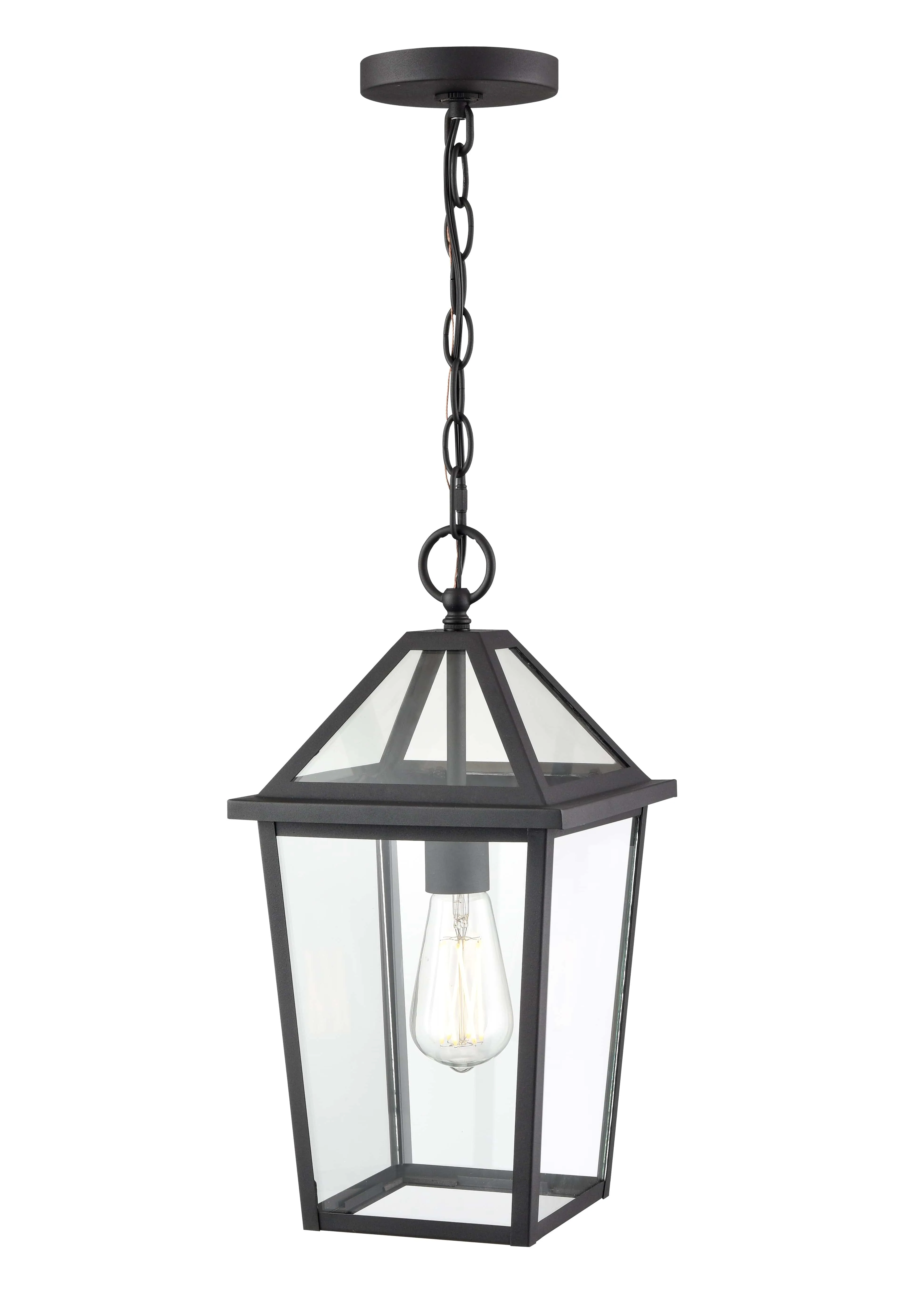 Eston Outdoor Hanging Lantern - Textured Black - Clear Glass - 8.25in. Diameter - E26 Medium Base