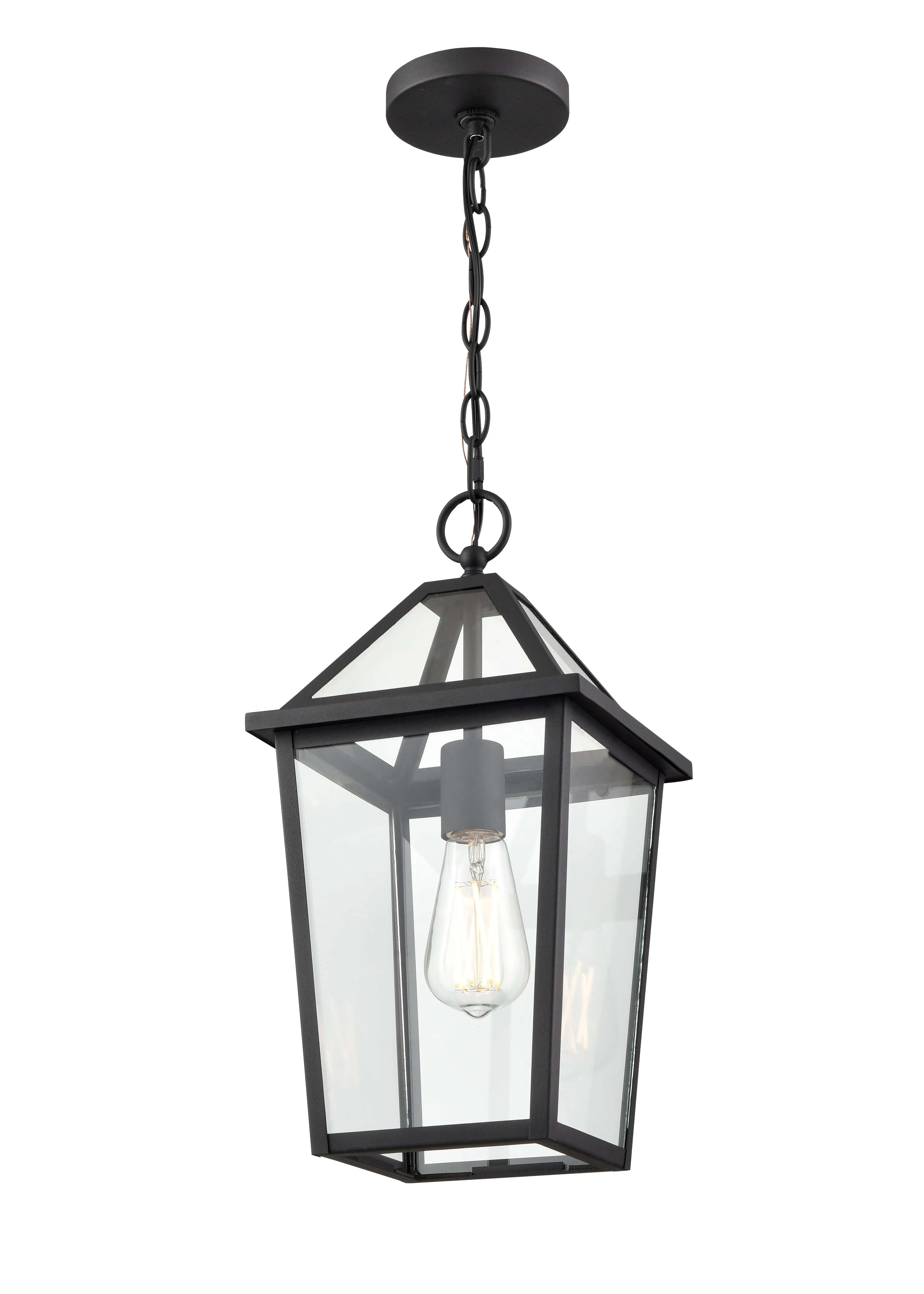 Eston Outdoor Hanging Lantern - Textured Black - Clear Glass - 8.25in. Diameter - E26 Medium Base