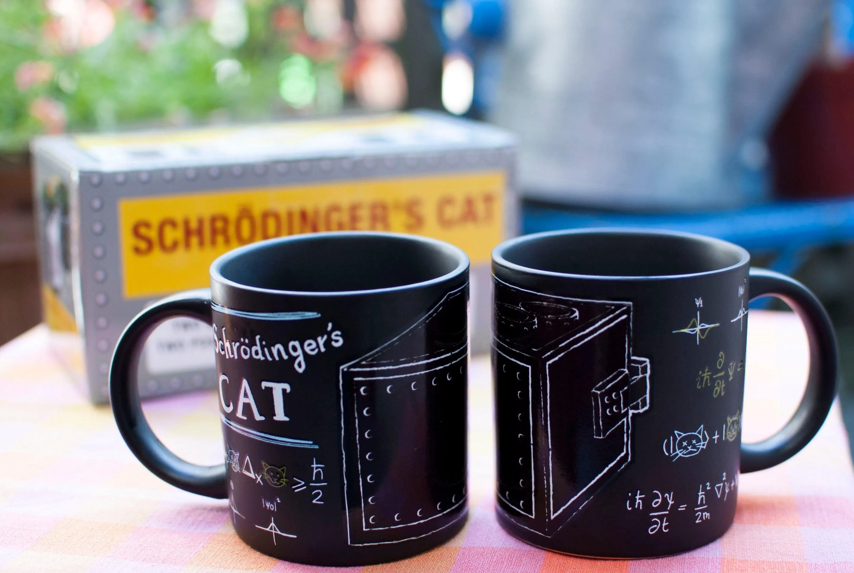 Schrödinger's Cat Mug Set