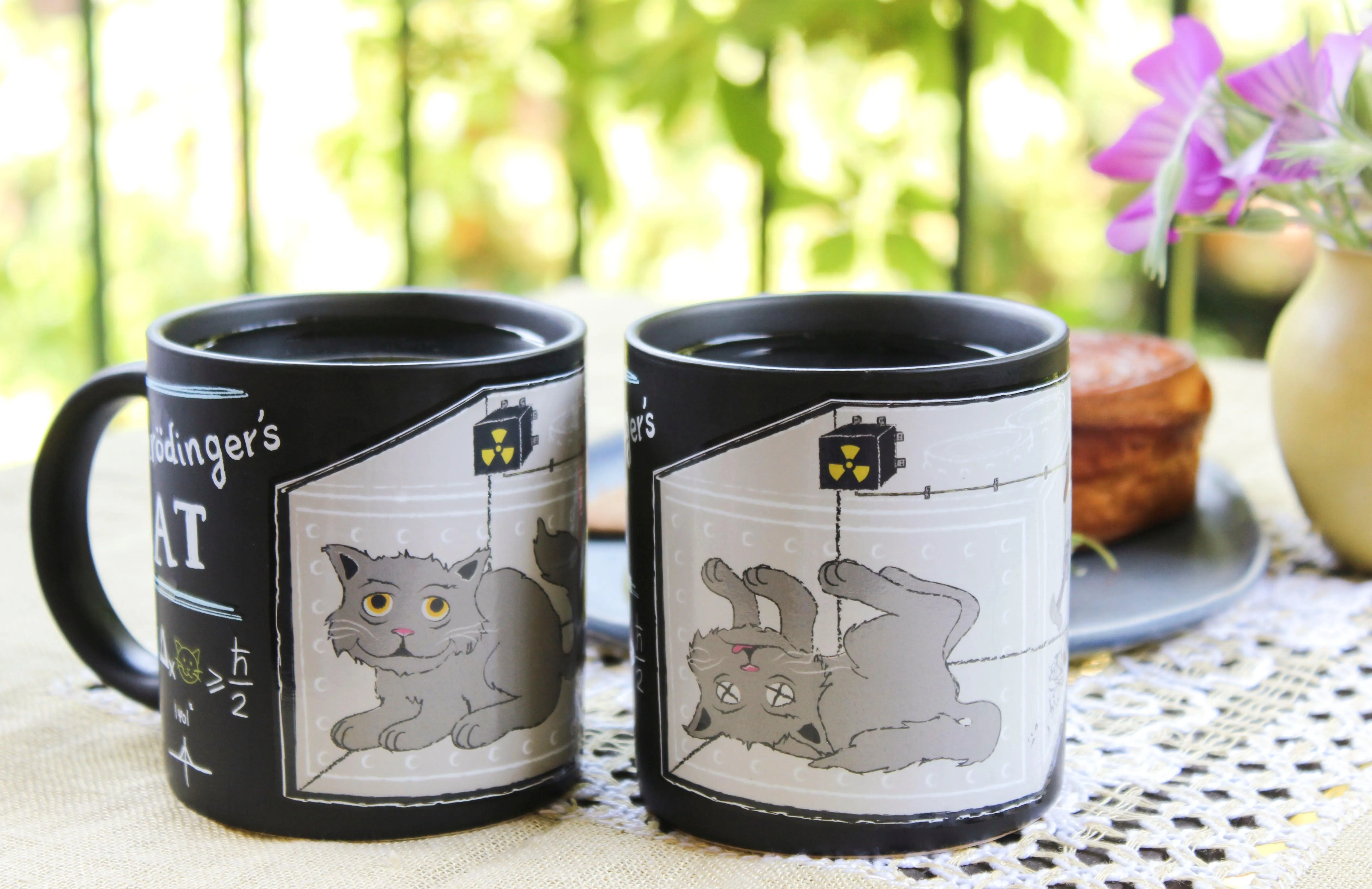 Schrödinger's Cat Mug Set