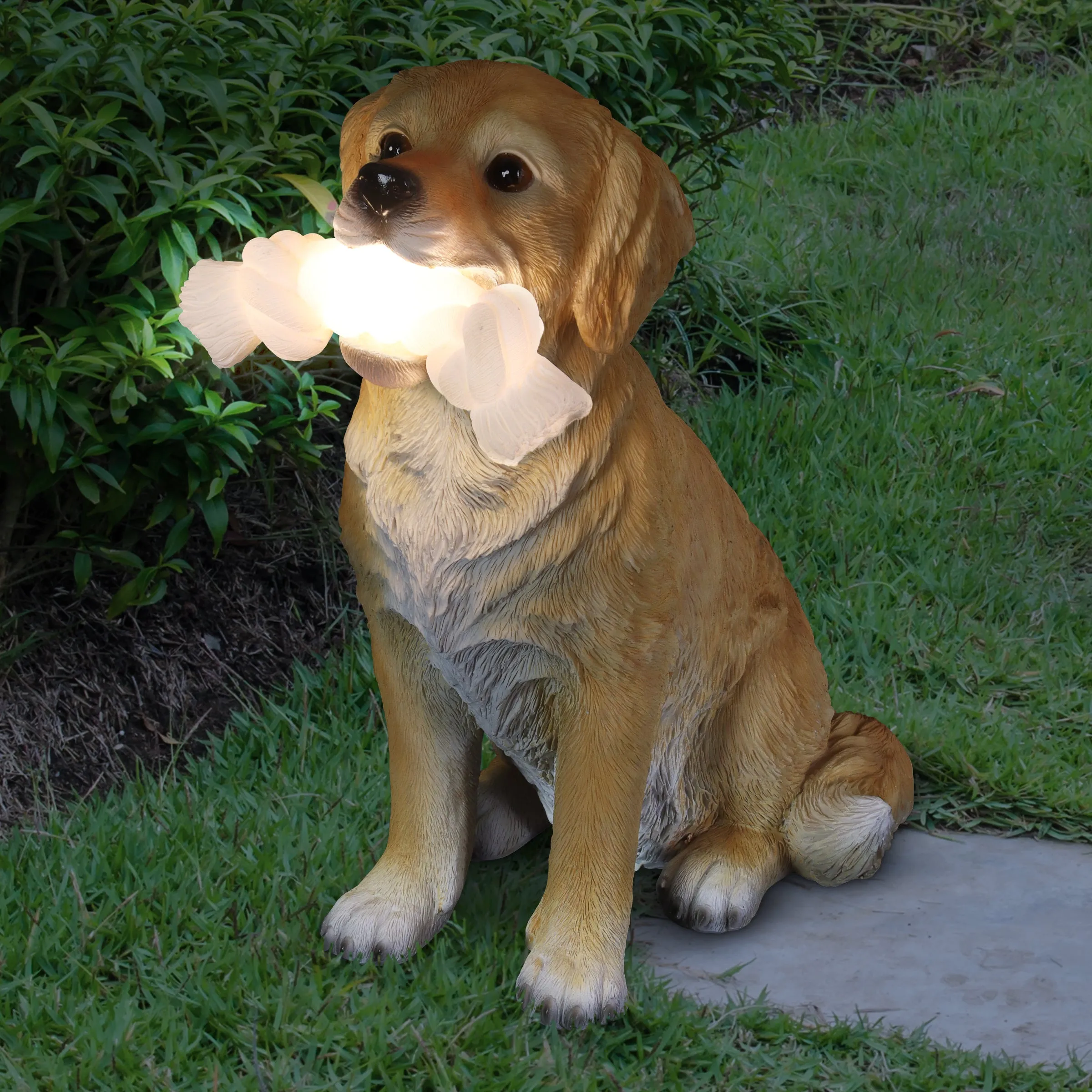 Solar Golden Retriever with LED Rope Toy Statuary, 8 by 14 Inches