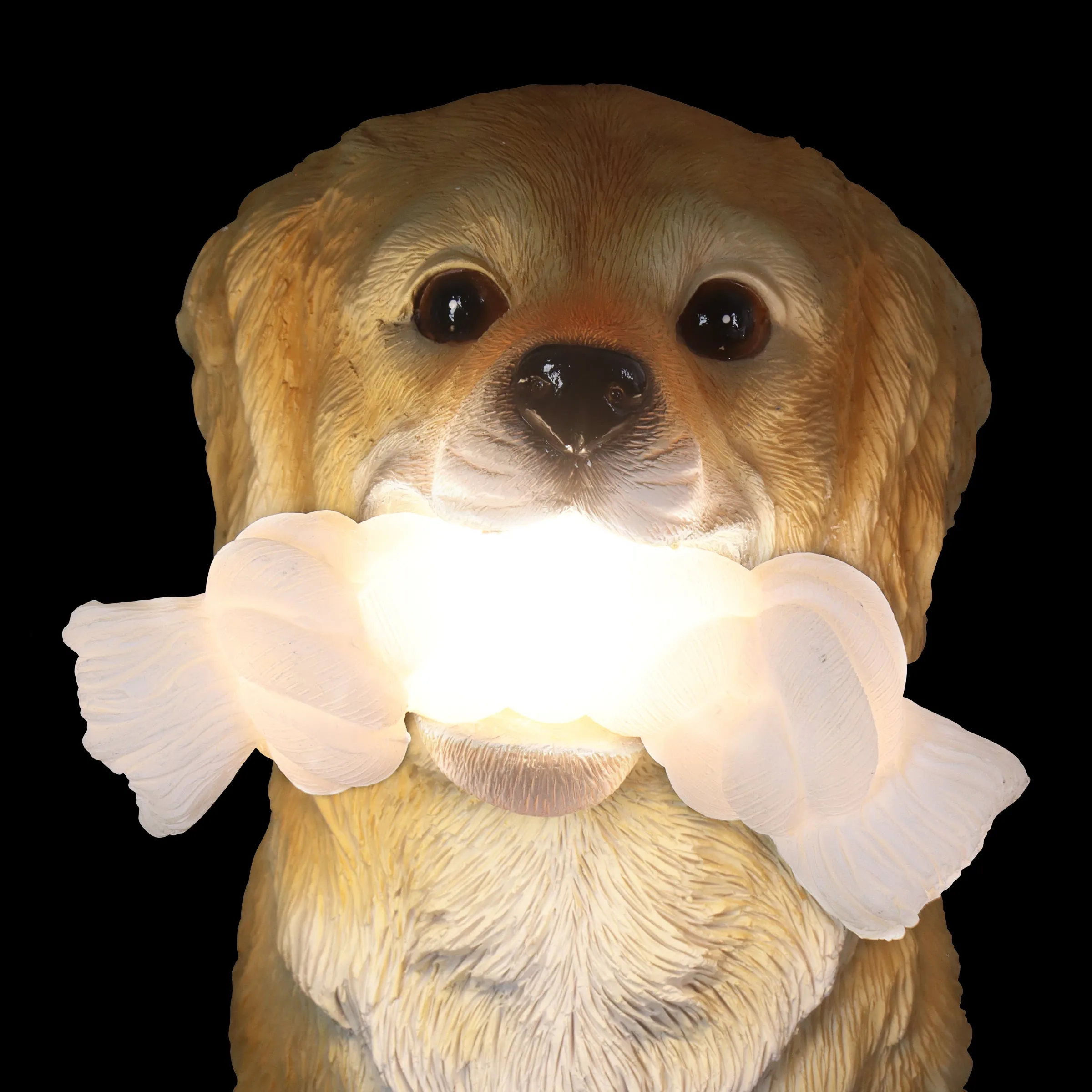 Solar Golden Retriever with LED Rope Toy Statuary, 8 by 14 Inches