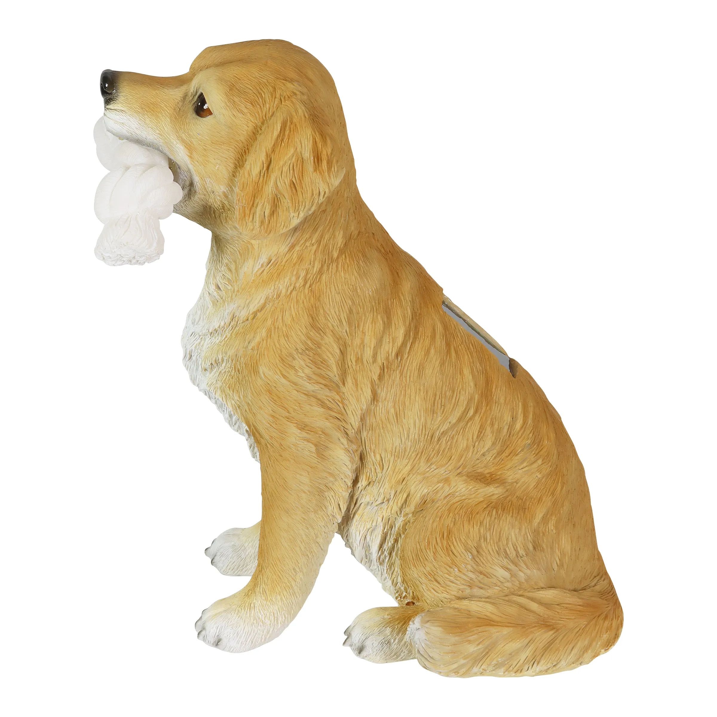 Solar Golden Retriever with LED Rope Toy Statuary, 8 by 14 Inches